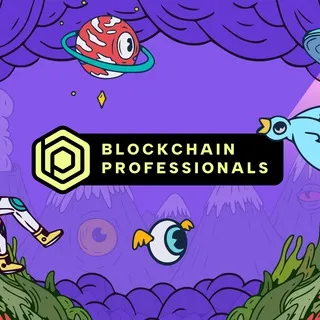 Blockchain Professionals Chat