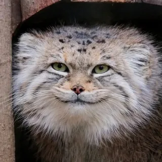 манулопереходник чистоо