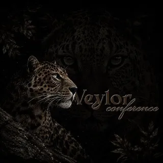 𝐕𝐞𝐲𝐥𝐨𝐫ⁱⁿᶠᵒ`` 🐆