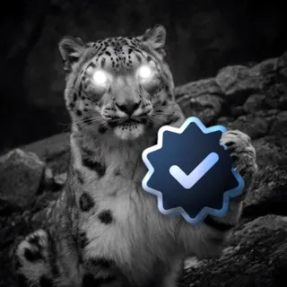 AMEX Vouches