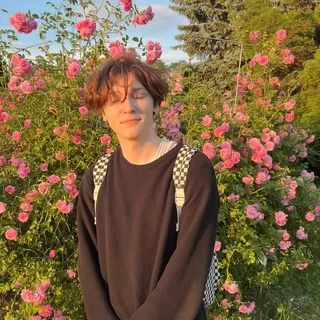 рест|𝙬𝙞𝙝𝙞𝙠𝙮ム
