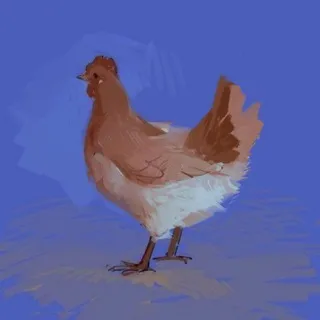 pneech