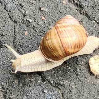 ᏦᏢᎠ blog