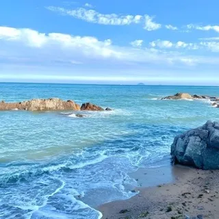 𝐈𝐍𝐅𝐎 𝐋𝐈𝐕𝐄𝐍𝐓𝐄𝐑 🌊