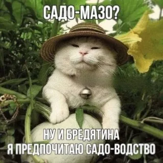 Azerty VOICE RY DUB