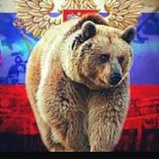 Russia News🇷🇺