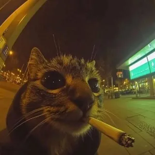 Кехыч рисует