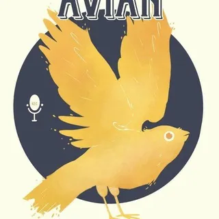 💠/Avian Audiocast/💠