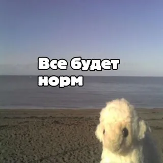 Это Nimulka