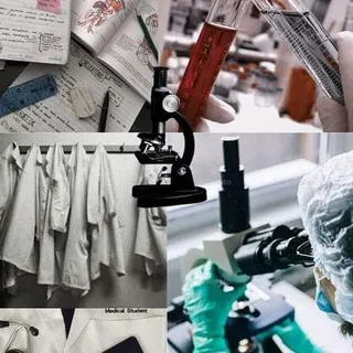 Bioanálisis Clínico🔬🩸🧫