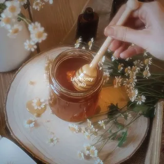 𝘓𝘪𝘧𝘦 𝘩𝘰𝘯𝘦𝘺 ᶦᶰᶠᵒ