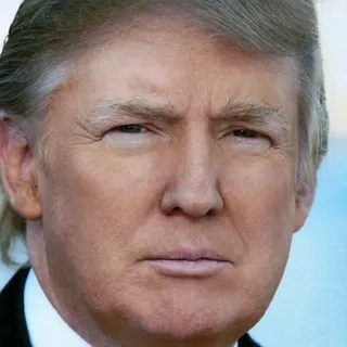 Trump Mania
