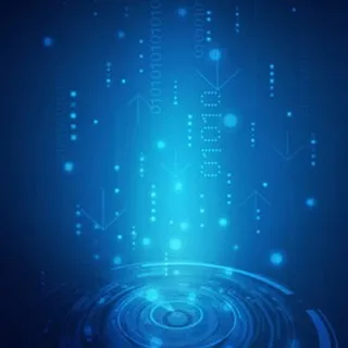 聚宝盆—不只一盆
