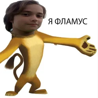 FL4MUS
