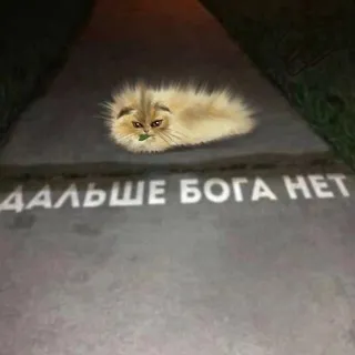 никогда/никто