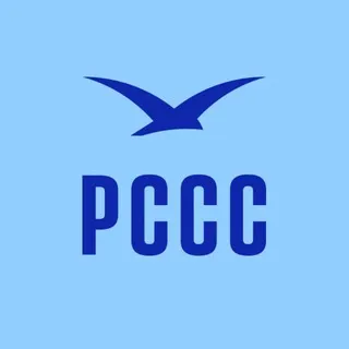 📌 РССС <В ДЕЛЕ>