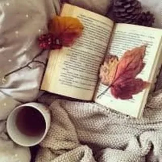 LibroS3Manía 📚