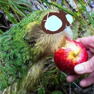 Чайные Проблемы [🫖]