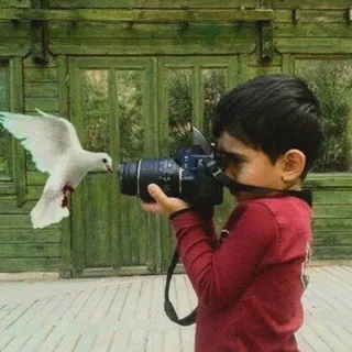 Qisat almusafir
