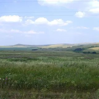 Лесостепняк