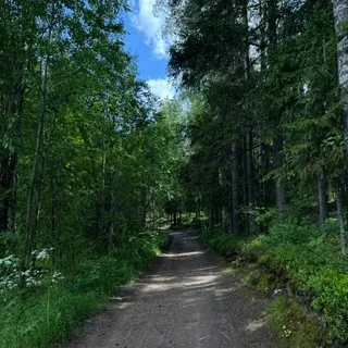 Рест.⚜️Ali_n подвал.⚜️