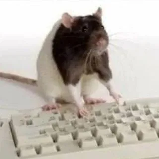 маруся 🐕‍🦺