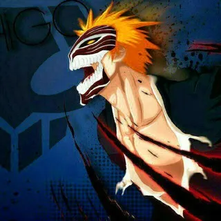 Bleach All Season English Dubbed