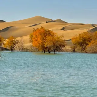 中国画