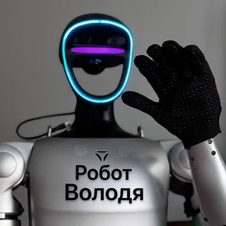 Робот Володя