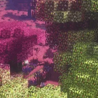 💚Ꮢᴀvᴇn Ꮪᴄᴀrlᴇᴛᴛ🩷