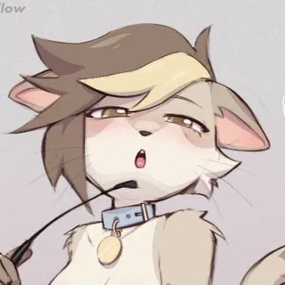 FurDust