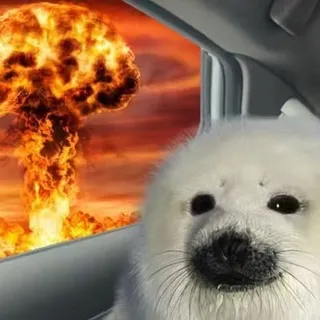 🎏ተ𐌳ᱞ𐌳ઝ𐌳ዘ𐌍ᱢઝ🦦🫧