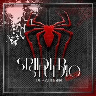 SPIDER STUDIO