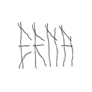 ERNA punk riot