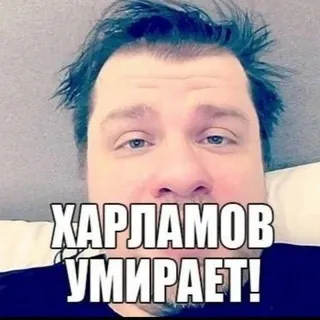 грядка2