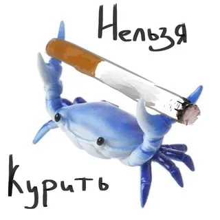 ᎩᎧ𐐆ᎥᏦ 🦀
