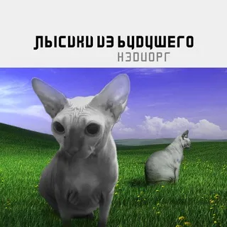 Нэдиорг
