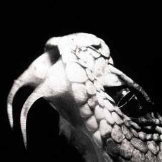 lzxrd | armor