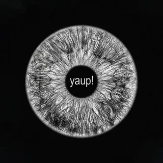yaupsystem