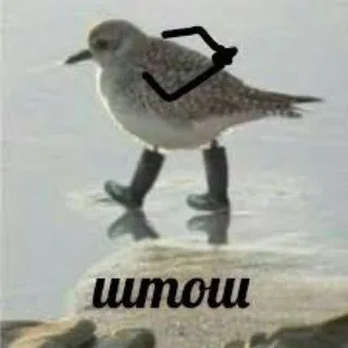 Токсично‑хаотичный 🙃