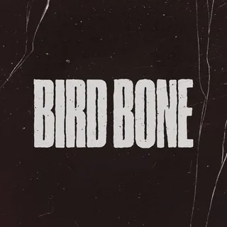 Bird Bone