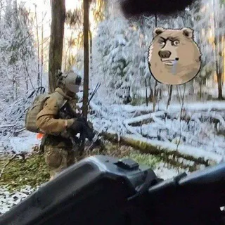 Гол и Гойда