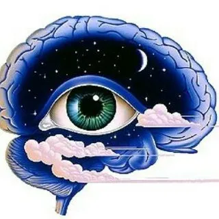 Neuropsicopedagogia PDFs