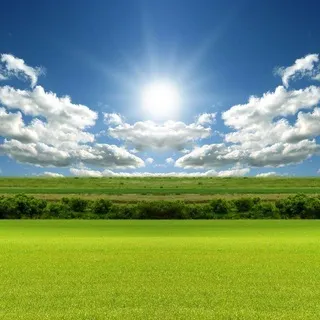 🌺 ¦ Hora Da Reflexão