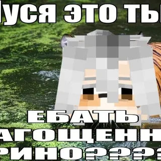 ᴏᴍᴀᴍᴏʀɪ