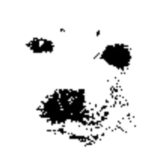 иияя