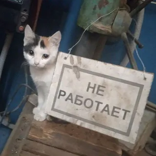 kreva -..zZ