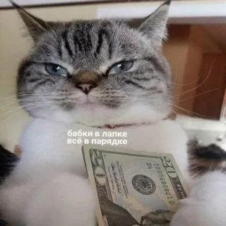Магазин Макара