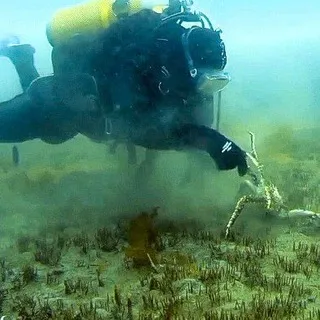 Красота Японского моря.
