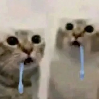 Будка дифиза